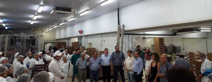 ΣΥΡΙΖΑ ΑΡΤΑ 5