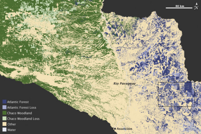 Vlachopoulos-Paraguay