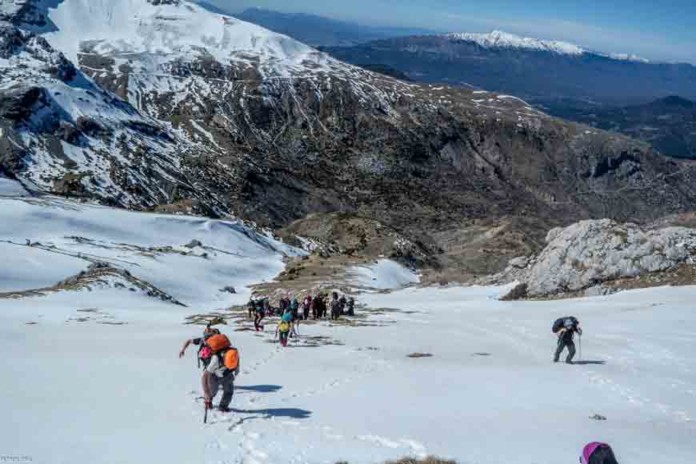 oreivatikos_anthoxori