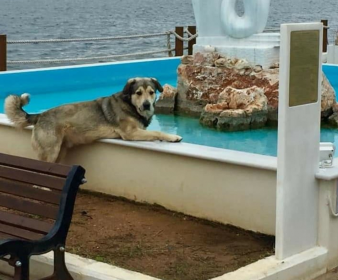 Οδυσσεας