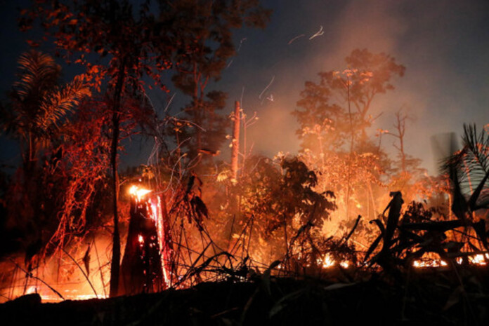 amazonios-foties-coronavirus