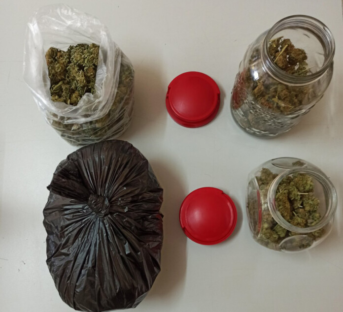 kanavi_narkotika kanavi_narkotika