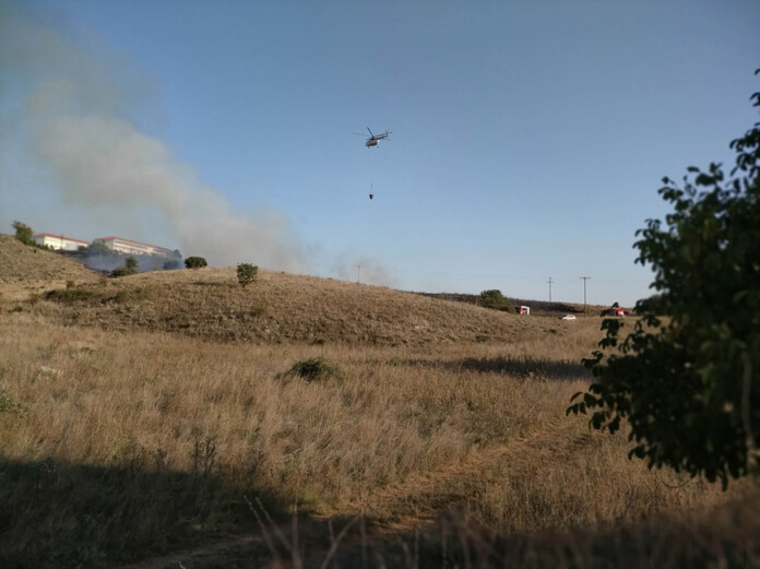 fotia_asilo-aniaton fotia_asilo-aniaton