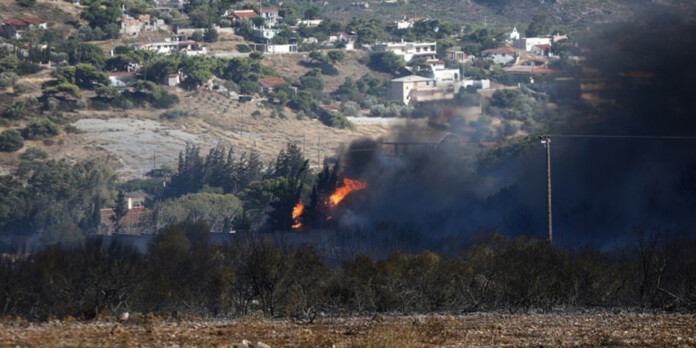 fwtia-anavyssos-dasos