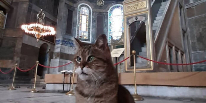 gata-agia-sofia-naos-eswteriko