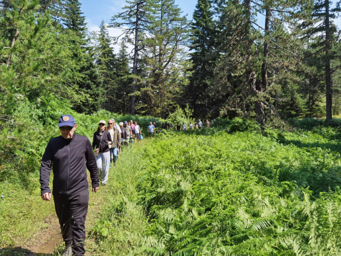 parko-ethnikis-simfiliosis