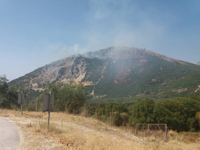 ΦΩΤΙΑ ΣΚΑΦΙΔΩΤΗ 2