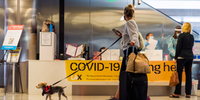 aerodromio-epivatis-skyli-gkises aerodromio-epivatis-skyli-gkises