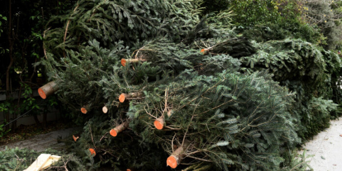 kommena-elata-sto-pezodromio