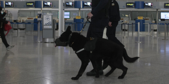 skylos-fimotro-aerodromio