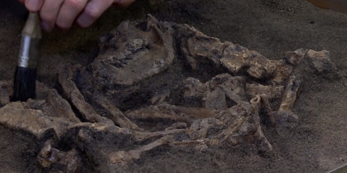 skylos-souidia skylos-souidia