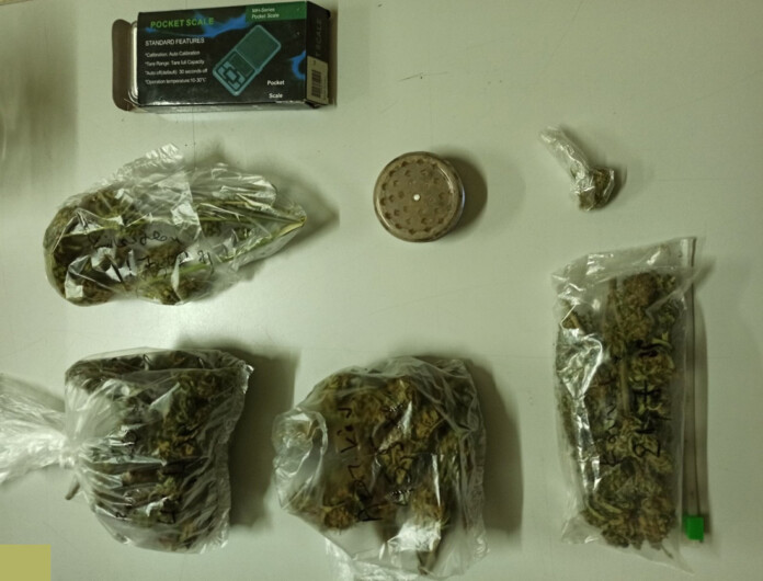 diakinisi-narkotikon