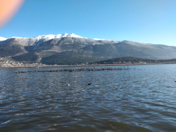 ΠΑΜΒΩΤΙΔΑ ΜΙΤΣΙΚΕΛΙ