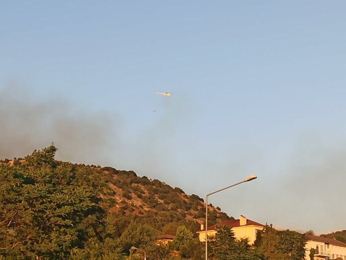 ΦΩΤΙΑ ΑΜΦΙΘΕΑ-1