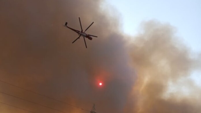 ΦΩΤΙΑ ΡΟΔΟΣ