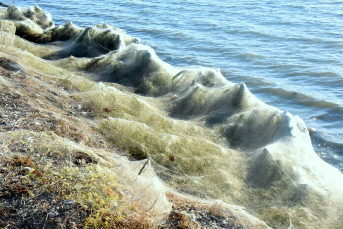 ΑΙΤΩΛΙΚΟ ΙΣΤΟΙ