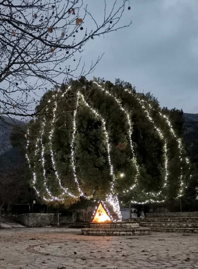 ΣΚΛΙΒΑΝΗ ΧΡΙΣΤΟΥΓΕΝΝΙΑΤΙΚΟ ΔΕΝΤΡΟ