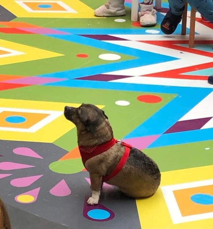 ΑΔΕΣΠΟΤΟ ΝΗΠΙΑΓΩΓΕΙΟ