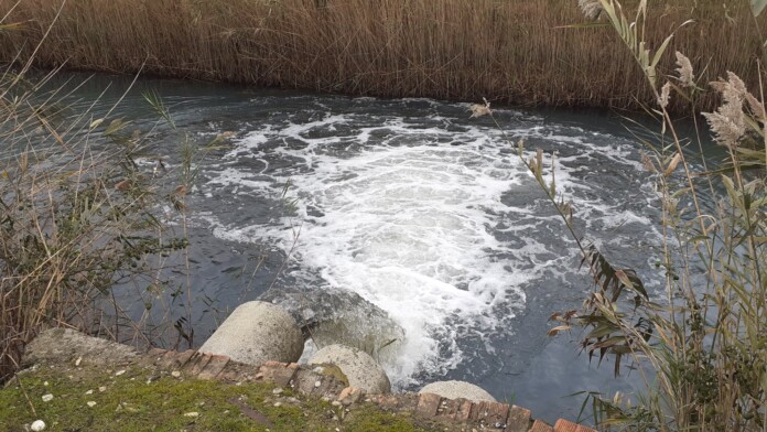 ΑΡΤΑ ΧΑΝΟΠΟΥΛΟ ΑΝΤΛΙΑ