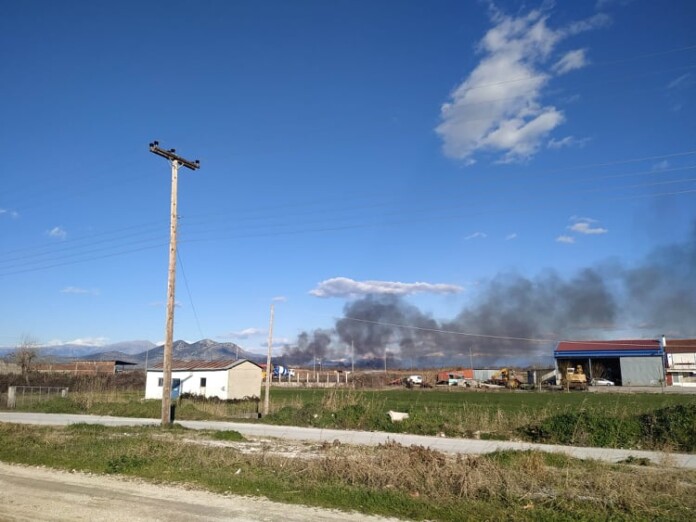 ΠΕΤΡΑ ΚΑΠΝΟΣ ΠΡΕΒΕΖΑ1