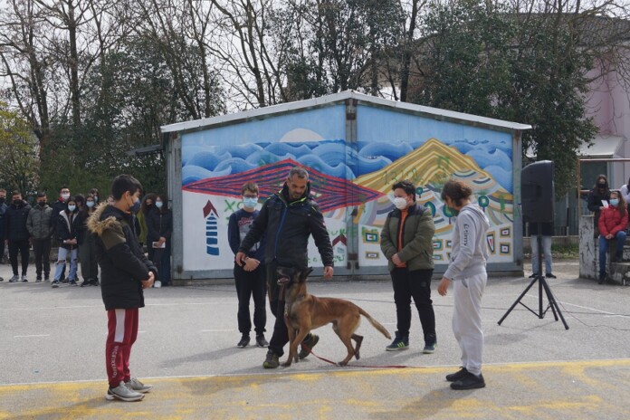 ΔΗΜΟΣ ΖΙΤΣΑΣ ΑΔΕΣΠΟΤΑ1