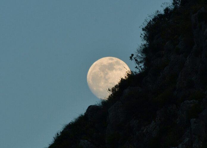 ΠΑΝΣΕΛΗΝΟΣ4