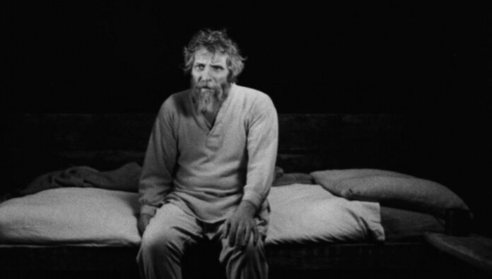 ΤΟ ΑΛΟΓΟ ΤΟΥ ΤΟΡΙΝΟ