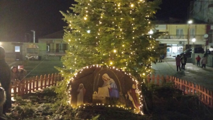 ΚΟΝΙΤΣΑ ΔΕΝΤΡΟ