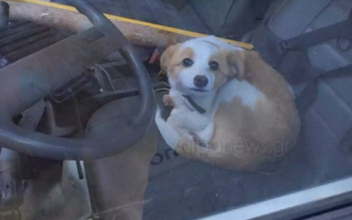 ΚΟΥΤΑΒΙ ΑΥΤΟΚΙΝΗΤΟ