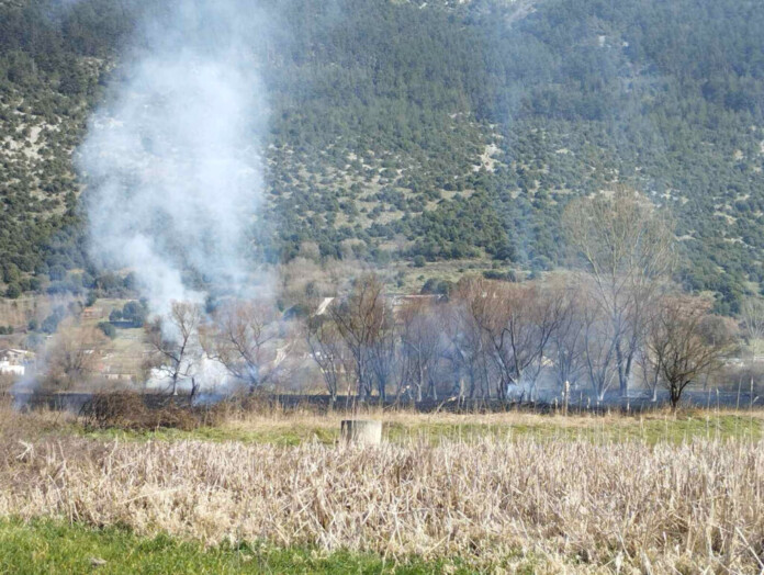 ΦΩΤΙΑ ΑΜΦΙΘΕΑ ΠΕΡΑΜΑ