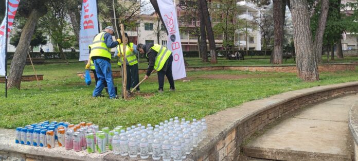 ΒΙΚΟΣ ΔΕΝΔΡΟΦΥΤΕΥΣΗ2