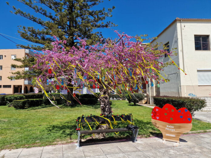 ΔΕΝΔΡΟ ΕΥΧΩΝ ΠΡΕΒΕΖΑ