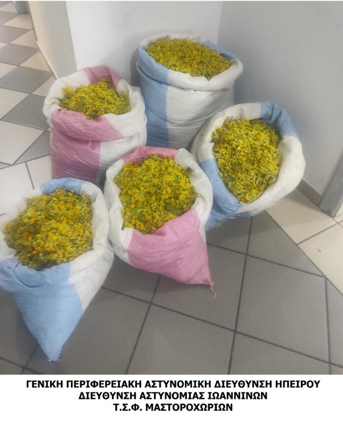 ΑΡΩΜΑΤΙΚΑ ΦΥΤΑ