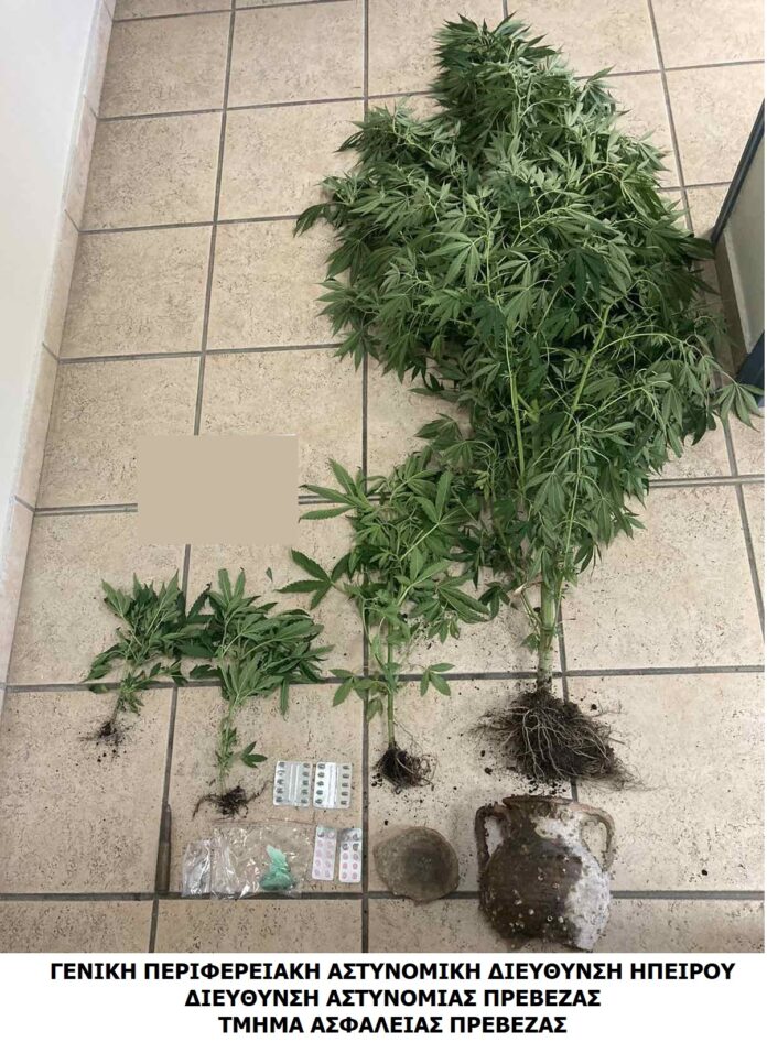 ΧΑΣΙΣ ΠΡΕΒΕΖΑ