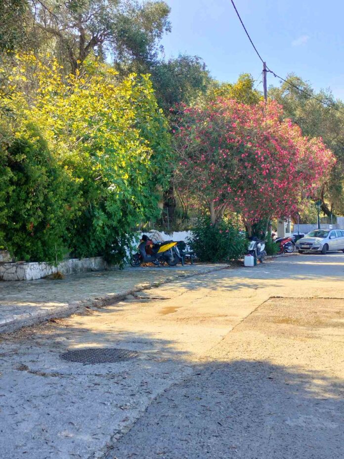 ΠΑΞΟΙ ΠΥΡΟΒΟΛΙΣΜΟΙ2