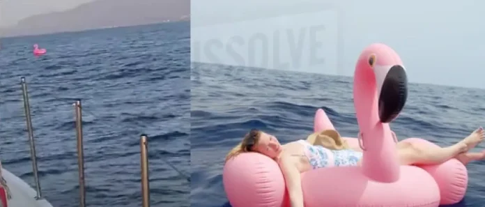 ΦΛΑΜΙΝΓΚΟ ΦΟΥΣΚΩΤΟ