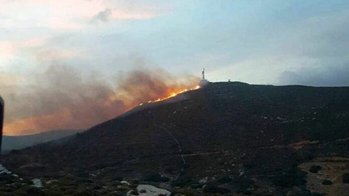 ΦΩΤΙΑ ΑΝΔΡΟΣ