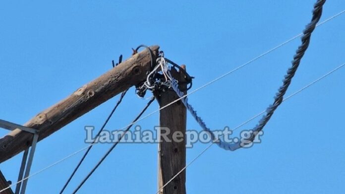 ΚΟΛΟΝΑ ΛΑΜΙΑ