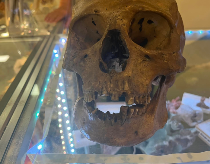 ΚΡΑΝΙΟ HALLOWEEN