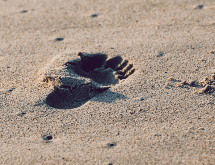 ΑΝΘΡΩΠΙΝΑ ΙΧΝΗ ΕΤΩΝ