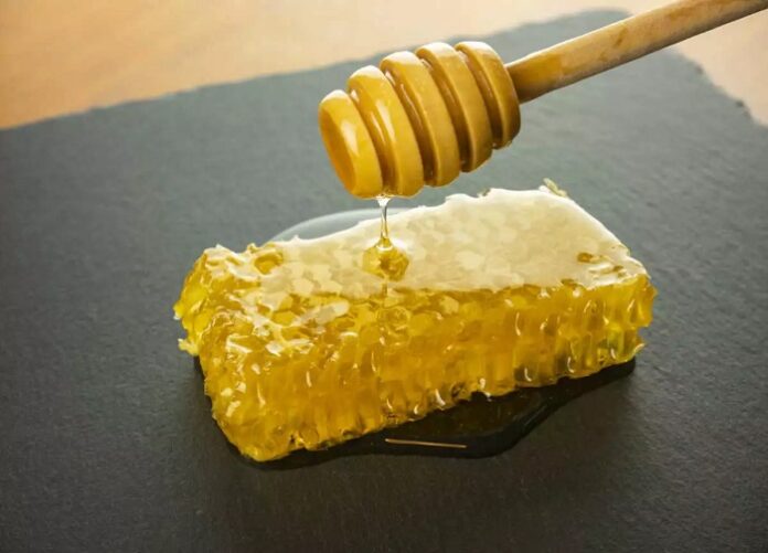 ΒΑΣΙΛΙΚΟΣ ΠΟΛΤΟΣ