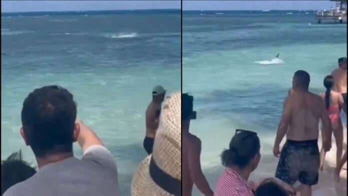 ΚΑΡΧΑΡΙΑΣ ΚΟΛΟΜΒΙΑ