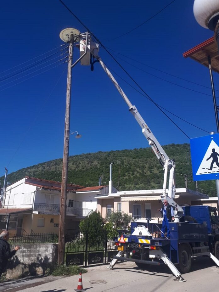 ΦΩΛΙΑ ΠΕΛΑΡΓΩΝ ΚΕΦΑΛΟΒΡΥΣΟ