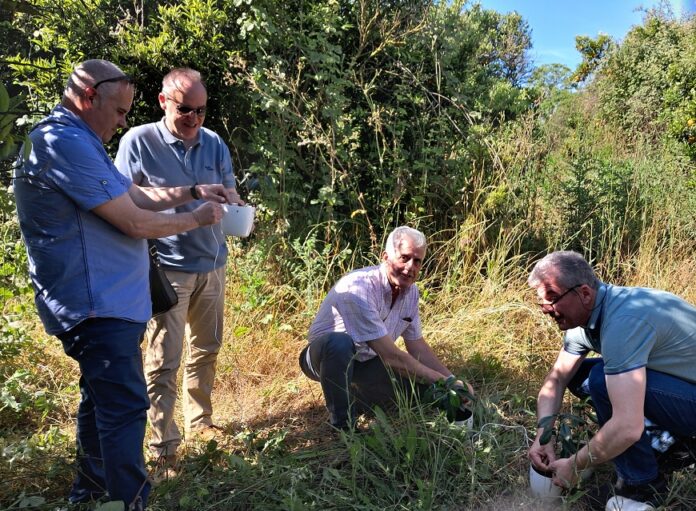 ΠΑΓΙΔΕΣ ΑΚΑΝΘΩΔΗΣ2