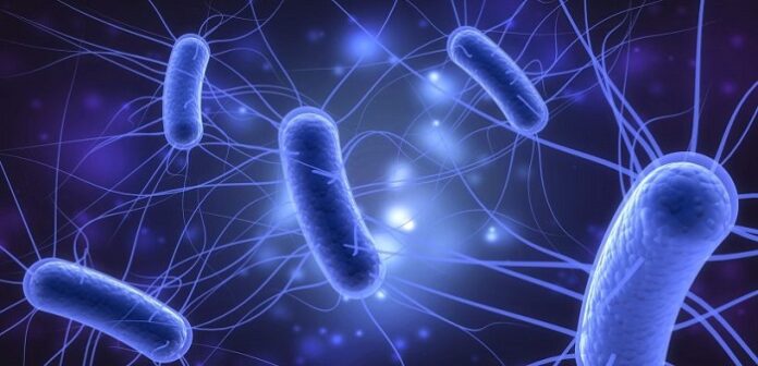 E. COLI