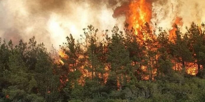 ΦΩΤΙΑ ΛΙΜΝΗ ΒΟΛΒΗ