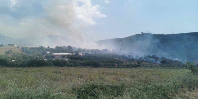 ΦΩΤΙΑ ΚΑΝΑΛΛΑΚΙ