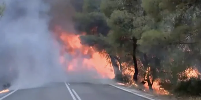 ΦΩΤΙΑ ΣΟΦΙΚΟ