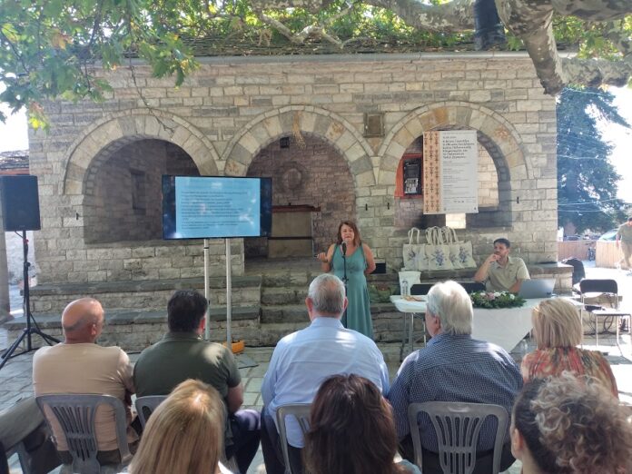 ΒΙΤΣΑ ΠΑΝΗΓΥΡΙ 2