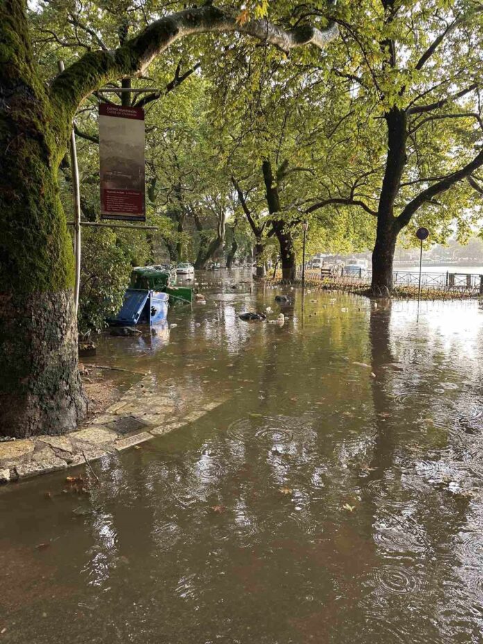 ΠΑΡΑΛΙΜΝΙΟ ΠΛΗΜΜΥΡΑ